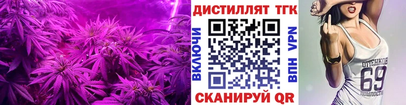 где найти наркотики  Новое Девяткино  ТГК THC oil 